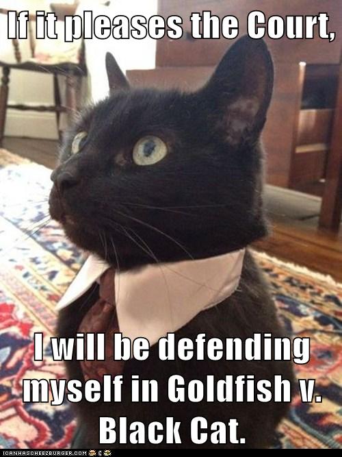 If it pleases the Court - Lolcats - lol | cat memes | funny cats ...