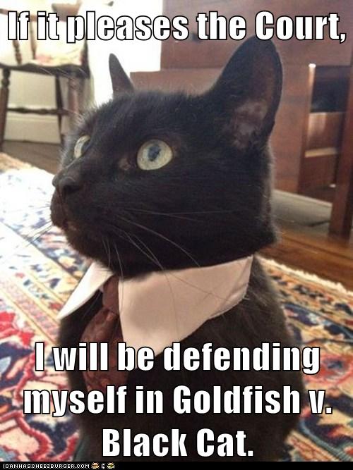 If it pleases the Court Lolcats lol cat memes funny cats