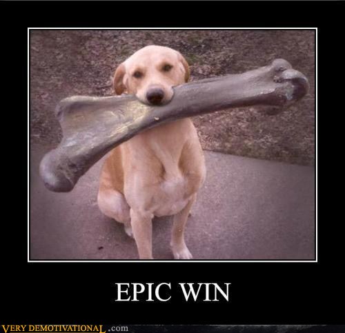 EPIC WIN - Very Demotivational - Demotivational Posters | Very