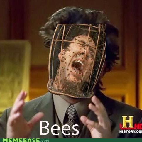 Not The Bees Oh God The Bees Memebase Funny Memes - oh gods no not the bees roblox bees meme on