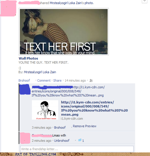 I'd Like Her to be on More Than My Mind Art of Trolling Troll