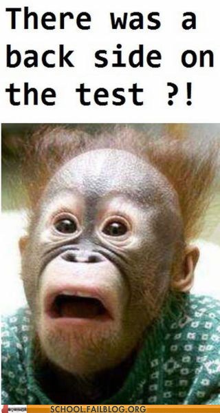 Homework meme template image