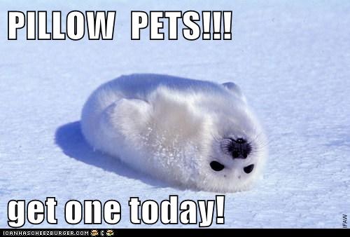 I Ll Take A Dozen Animal Comedy Animal Comedy Funny Animals