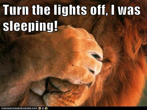 cheezburger-image-6276258560