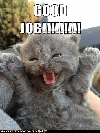 GOOD JOB!!!!!!!!! - Lolcats - lol | cat memes | funny cats ...