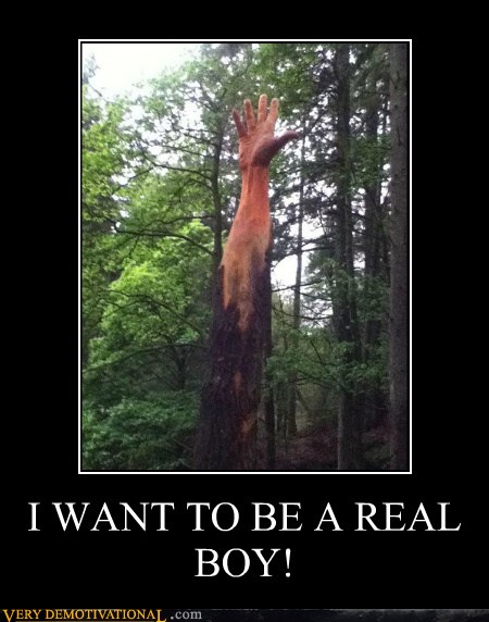 I Want To Be A Real Boy Very Demotivational Demotivational Posters Very Demotivational Funny Pictures Funny Posters Funny Meme