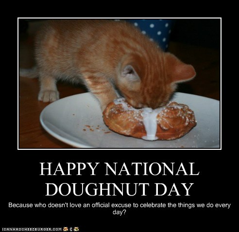 I Can Has Cheezburger? - national donut day - Funny Animals Online