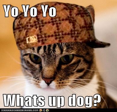 Yo Yo Yo Whats up dog? - Cheezburger - Funny Memes | Funny Pictures