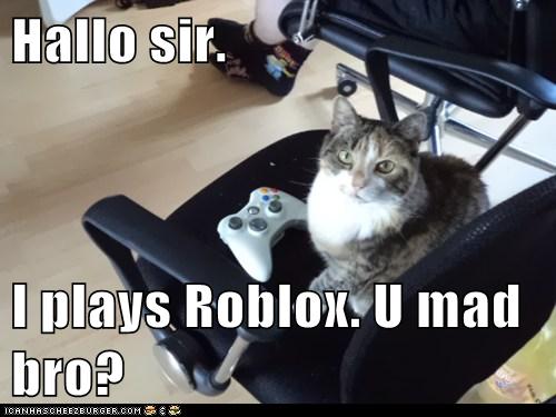Hallo Sir I Plays Roblox U Mad Bro Lolcats Lol Cat Memes Funny Cats Funny Cat Pictures With Words On Them Funny Pictures Lol Cat Memes Lol Cats - umad roblox