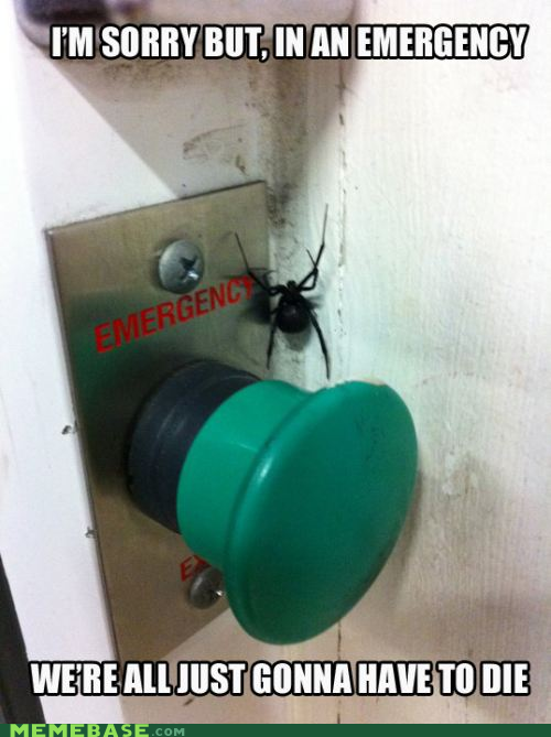 I'm Having an Emergent Seize Memebase Funny Memes