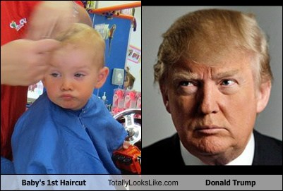 Toddler trump shop wig