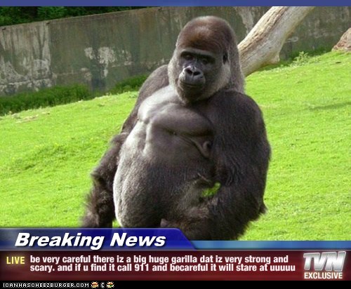 Breaking News Be Very Careful There Iz A Big Huge Garilla Dat Iz Very Strong And Scary And If U Find It Call 911 And Becareful It Will Stare At Uuuuu