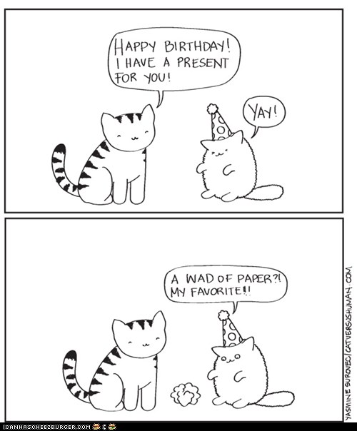 I Can Has Cheezburger? - birthdays - Page 2 - Funny Animals Online ...