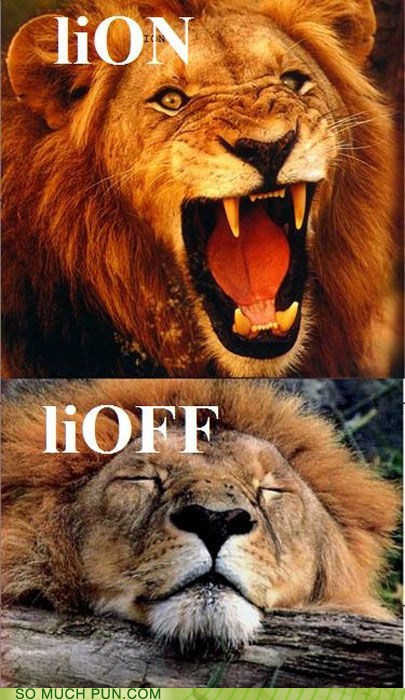 Puns - lion - Funny Puns - Pun Pictures - Cheezburger