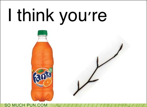 Puns fanta Funny Puns Pun Pictures Cheezburger