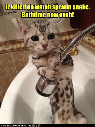 Lolcats - do not want - LOL at Funny Cat Memes - Funny cat ...