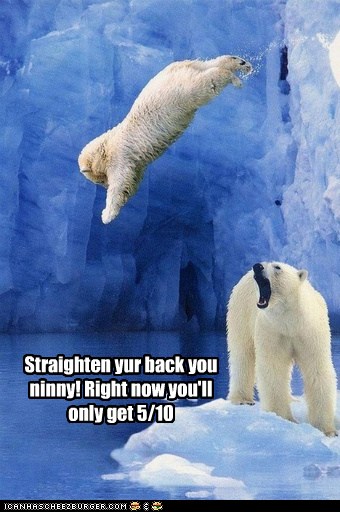 The Olympics are in Less Than a Month! - Animal Comedy - Animal Comedy ...