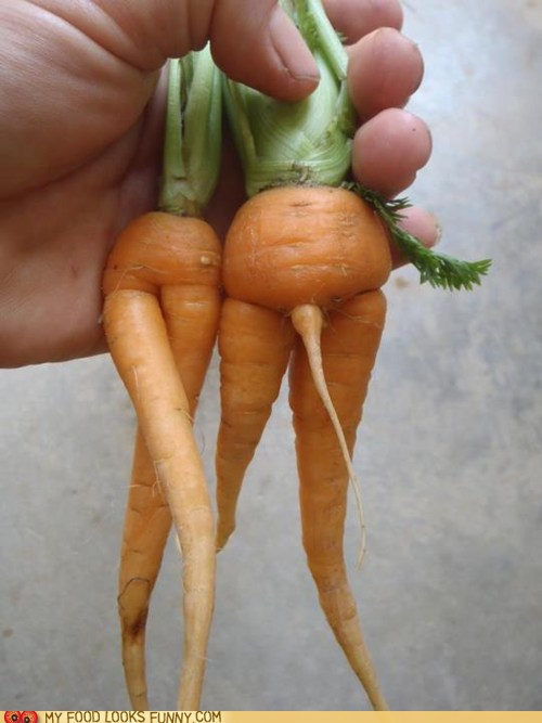 [Image: anatomy-best-of-the-week-carrots-legs-na...6354188032]