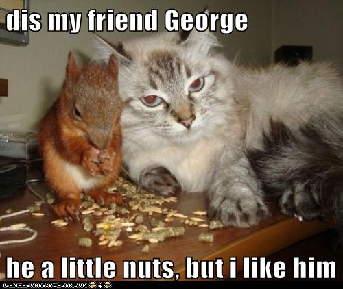 dis my friend George - Lolcats - lol | cat memes | funny cats | funny