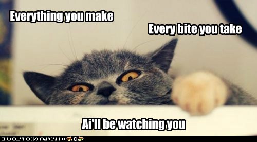 I Can Has Cheezburger? - lolcat - Page 4 - Funny Animals Online ...