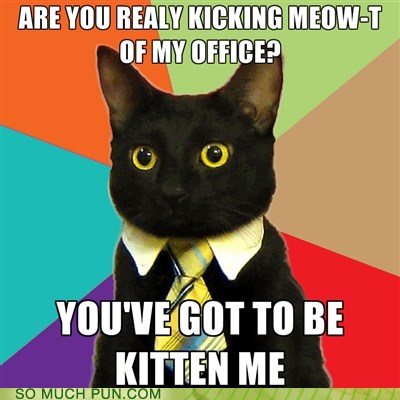 Puns - meow - Funny Puns - Pun Pictures - Cheezburger