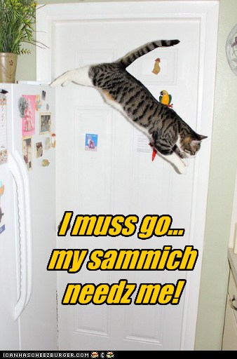 Cuz it's a... wayt fur it... Hero Sammich! - Lolcats - lol | cat memes ...