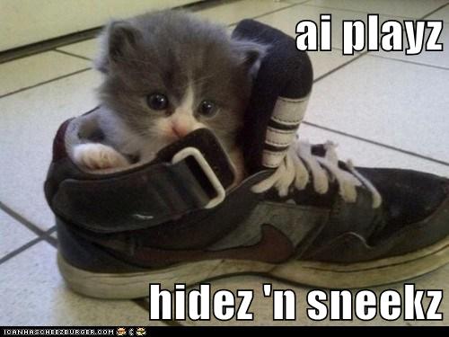 lol tennis shoes