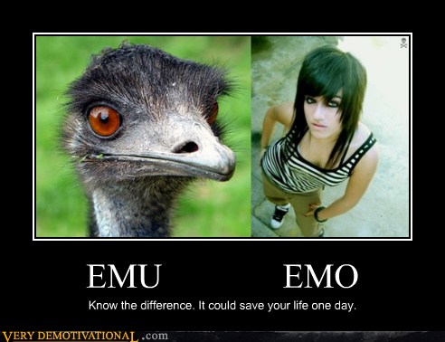 EMU EMO - Very Demotivational - Demotivational Posters ...