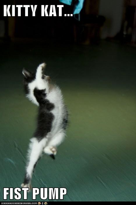 fist pump cat