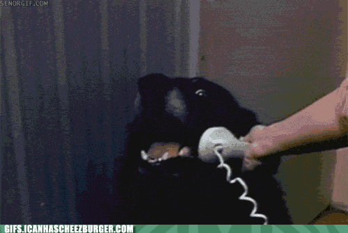 Https Encrypted Tbn0 Gstatic Com Images Q Tbn And9gcqhddvikhe54mczg Sczwizladhxmcp4arnvg Usqp Cau