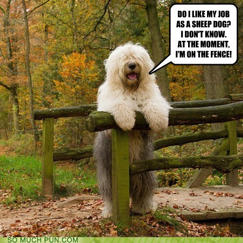 Puns fence Funny Puns Pun Pictures Cheezburger