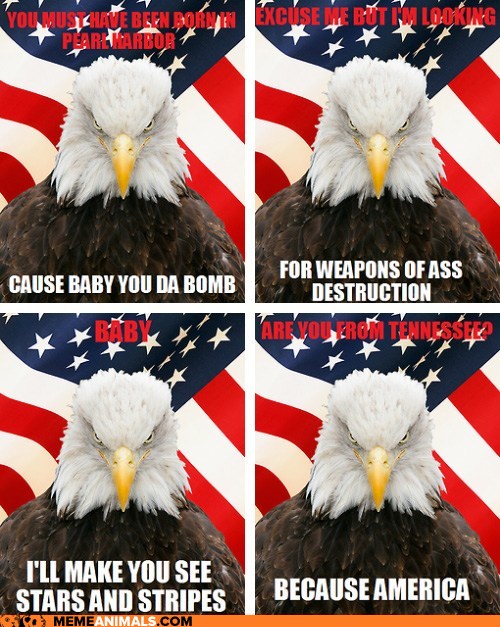 Animal Memes: In Honor of the Fourth of July, American Pickup Lines - I