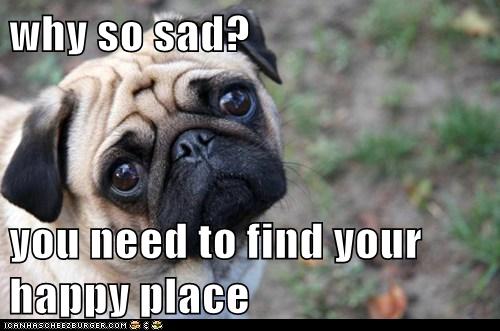 Why So Sad You Need To Find Your Happy Place Cheezburger Funny Memes Funny Pictures