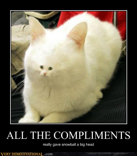 ALL THE COMPLIMENTS - Very Demotivational - Demotivational ...