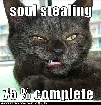 soul stealing 75 % complete - Lolcats - lol | cat memes ...
