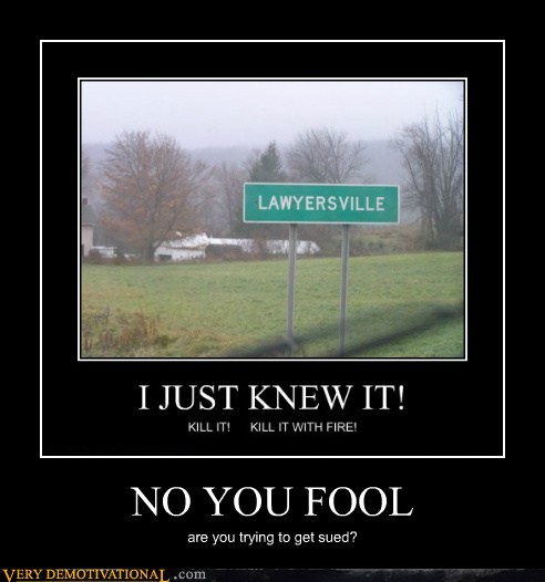 NO YOU FOOL - Very Demotivational - Demotivational Posters | Very