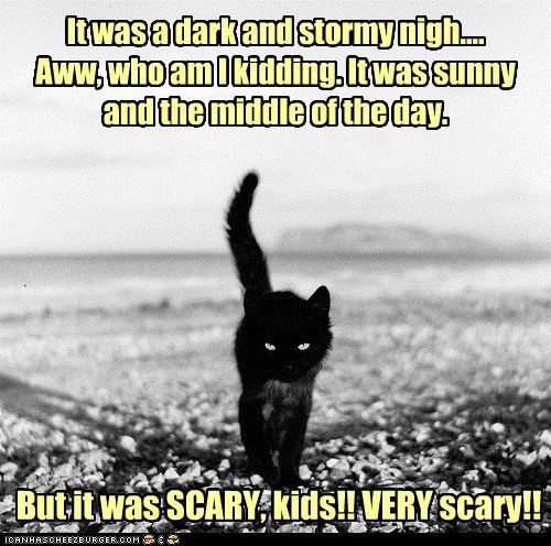 Lolcats - scary stories - LOL at Funny Cat Memes - Funny cat pictures