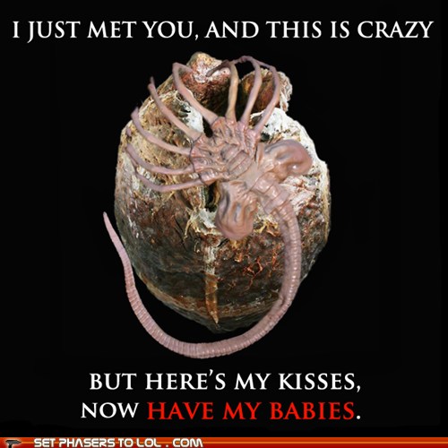 Set Phasers to LOL facehugger sci fi fantasy Cheezburger