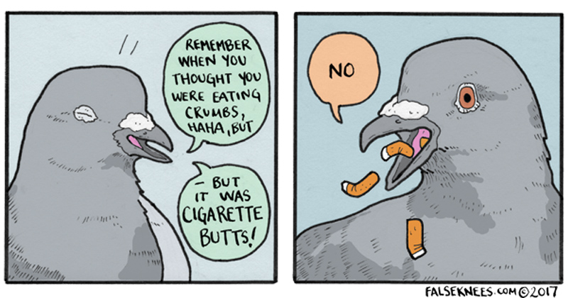 Weirdly Existential Bird Comics From False Knees Memebase