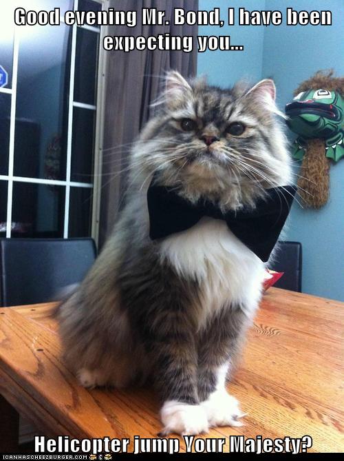 Good Evening Mr Bond I Have Been Expecting You Helicopter Jump Your Majesty Lolcats Lol Cat Memes Funny Cats Funny Cat Pictures With Words On Them
