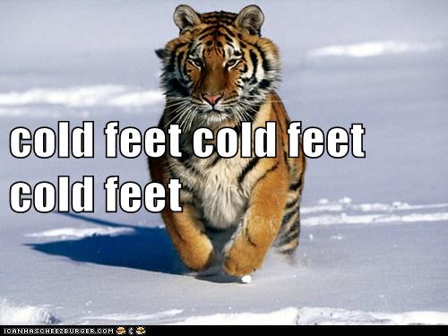 Animal Capshunz - cold feet - Funny animal pictures with captions ...