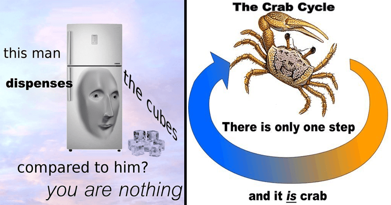 50 Surreal Memes That Might Leave You Scratching Your Head Memebase Funny Memes