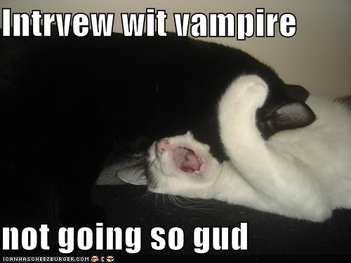 Intrvew wit vampire not going so gud - Cheezburger - Funny Memes ...