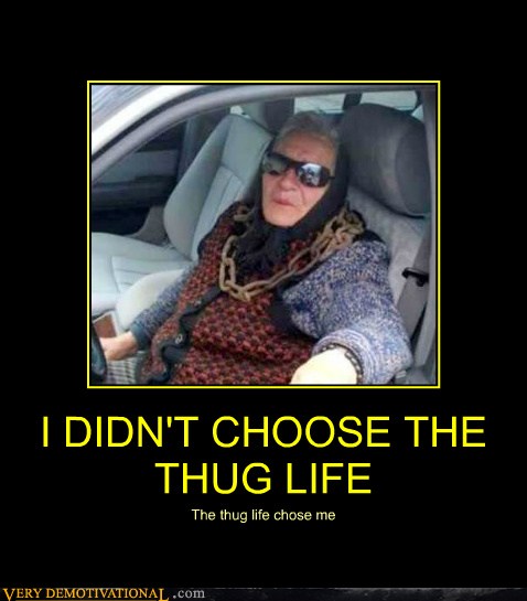 I Didn T Choose The Thug Life Very Demotivational Demotivational Posters Very Demotivational Funny Pictures Funny Posters Funny Meme