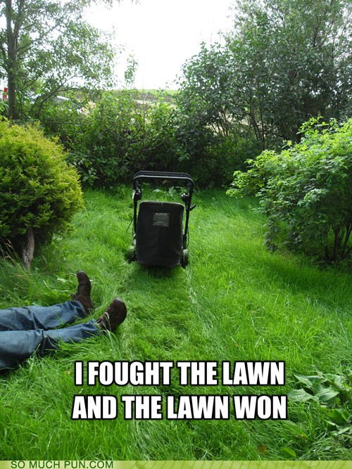 Puns lawn Funny Puns Pun Pictures Cheezburger