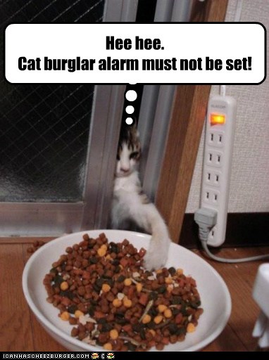 Lolcats - kibble - LOL at Funny Cat Memes - Funny cat pictures with ...