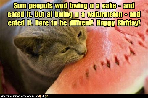 Happy Early Birthday BooBoo123 - Cheezburger - Funny Memes ..., pictures of happy birthday kittens