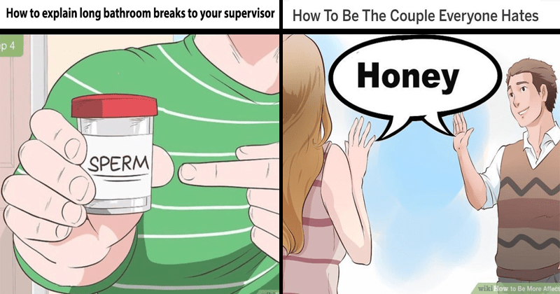 Wikihow Memes