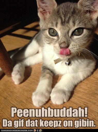 Lolcats - peanut butter - LOL at Funny Cat Memes - Funny cat pictures ...
