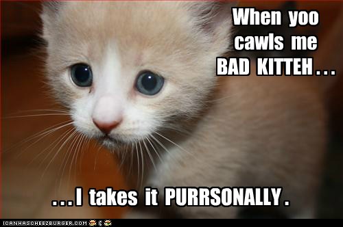 When yoo cawls me BAD KITTEH . . . - Lolcats - lol | cat memes | funny ...